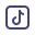 TikTok Icon